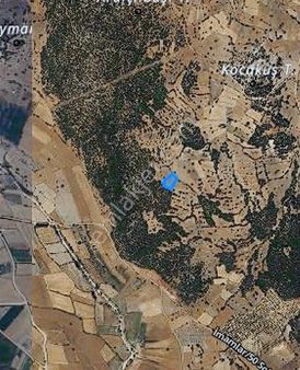 Çameli İmamlar Köyünde 1420 M2 Tarlamız Satılıktır