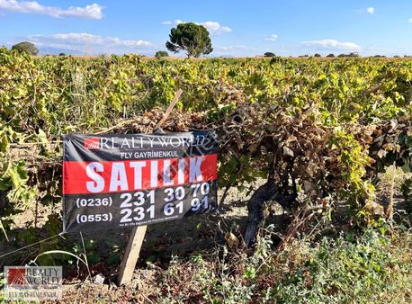 Rw - Fly'dan Veziroğlu Mah Satılık Bağ