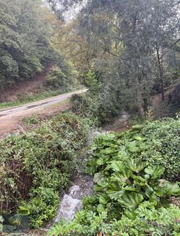 Bf Grouptan Tavşan Suyu Satılık Arsa