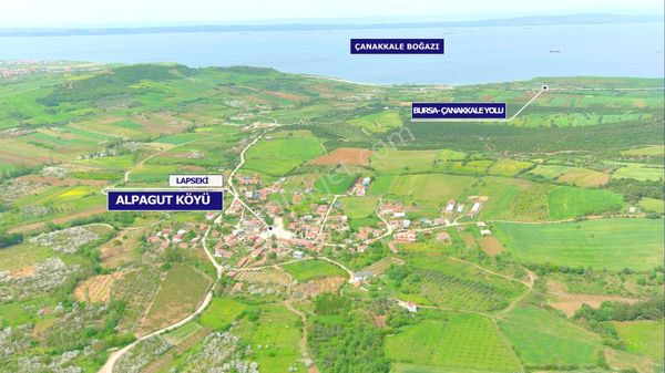 Lapseki Alpagut'ta Köye Yakın Satılık Tarla