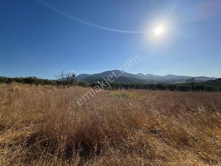 Kuzey Emlaktan Yırca Da Uygun Fiyat Marjinal Tarla !!