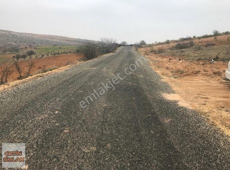 Çetin Emlak'tan Kürüm'yatırımlık Fıstık Bahçesi. Satılık Arazi