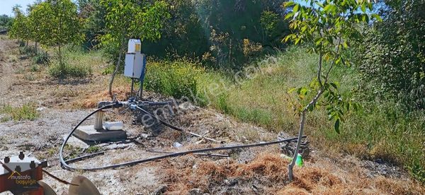 Mustafa Başyiğit Emlak'tan Gördes Kayacık'da 165,5 Dönüm Tarla