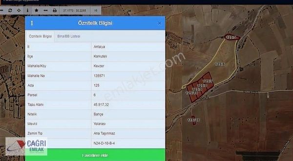 Çağrı Emlaktan Korkuteli Kevzerde Satılık Cennet Hurması Bahçesi