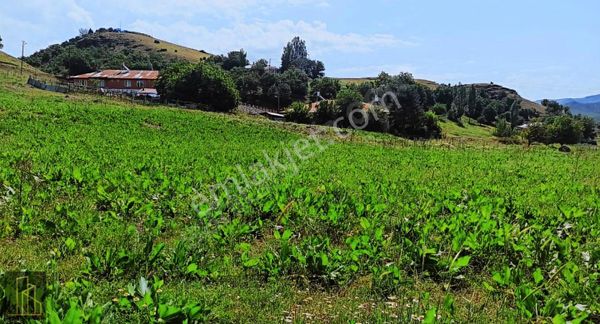 Tunceli Merkez'de Arsa Fırsatı