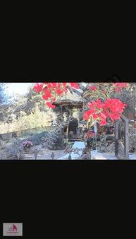 Yetkili Ofs - Gökçeovacık'ta Bahçelı Havuzlu Mustakil Ahsap Ev