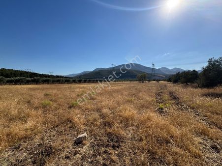 Kuzey Emlaktan Soma Yırca’da 4.786 M² Yol Kenarı Tarla – Merkezi Konumda Yatırımlık Fırsat”