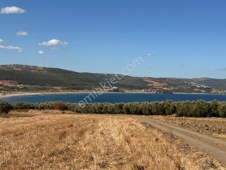 Mudanya Kapital'den Esence'de 139 M2 Satılık Tarla