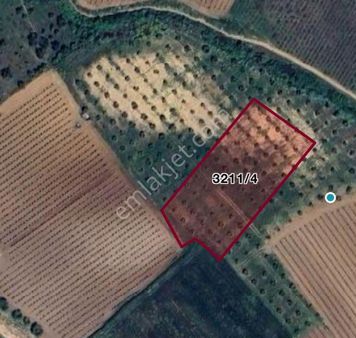 Manisa Turgutlu Çepnidere’de %50 Sanayi İmarlı Kaçırılmayacak Arsa!