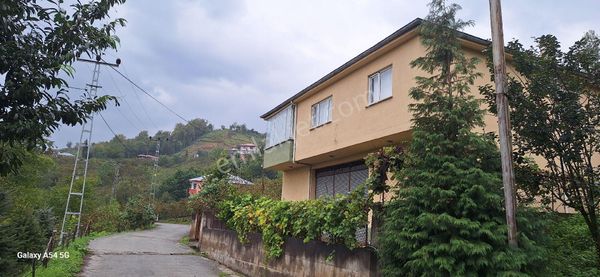 Şahinoğlu Emlaktan, Trabzon Akçaabat Derecik Uurlu'da, 5.034m2 Müstakil Fındıklık.