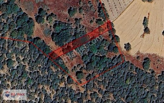 Remax Mid Balıkesir Dursunbey İlçesinde 1164 M² Tarla