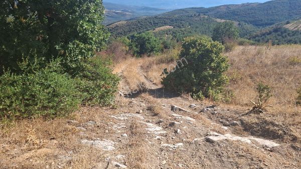 İznik Sarağılda 2 Parsel 15.750 N2 Göl Manzaralı Boş Tarla