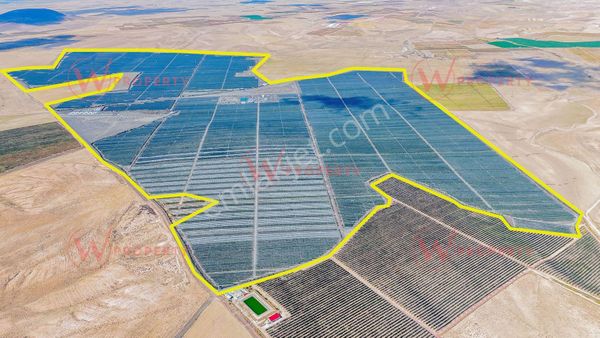 W Property'den Niğde Bor'da 2.291 Dönüm Elma Bahçesi