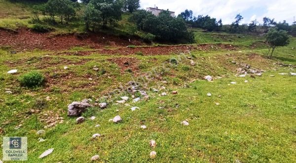 Tunceli De Yatırım Zamanı