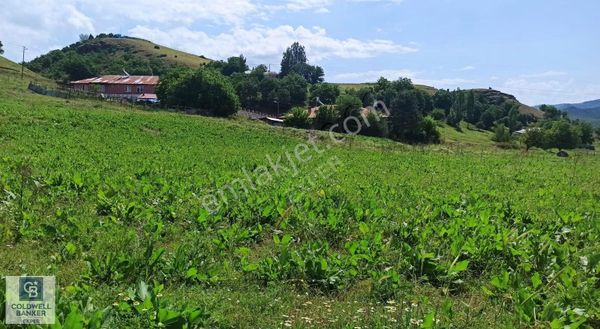 Tunceli De Villa İmarlı Hisseli Arsa Fırsatı