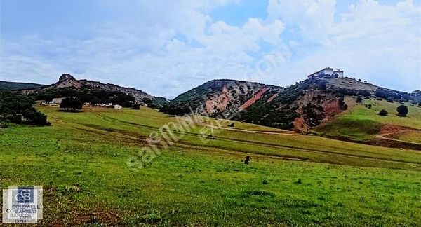 Tunceli 'de Fırsat Villa Arsası