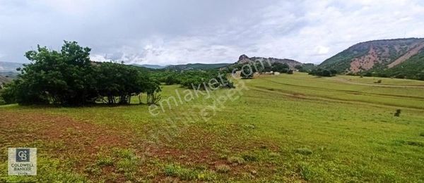 Tunceli' De Ana Yola Yakın Arsa Fırsatı