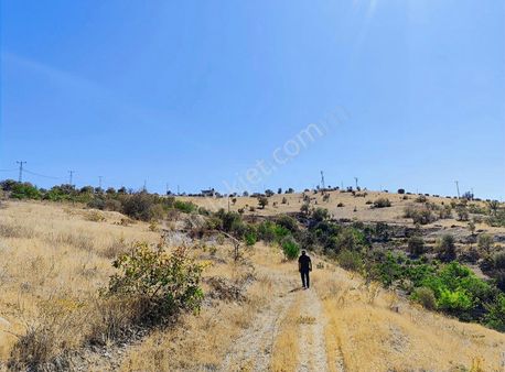 Serince (şüşnaz) Köyünde Satılık Tarla