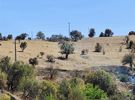 Serince (şüşnaz) Köyünde Satılık Tarla