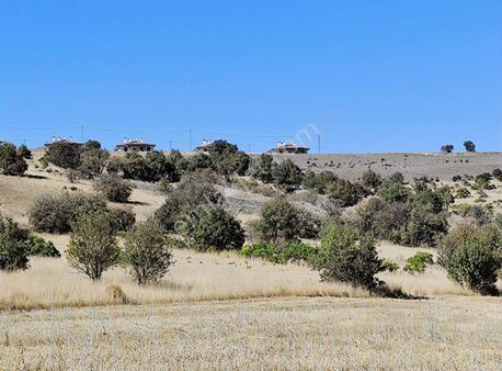 Serince (şüşnaz) Köyünde Satılık Tarla
