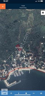 Satılık Zeytinlik Gemlik