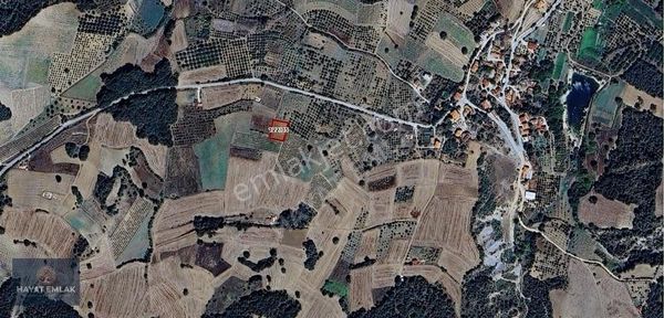 Sakarya Geyve Çukurköy Üzüm Bahçesi