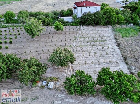 Sazlıcada Altyapısı Hazır Parselli 1000 M2 Arsa