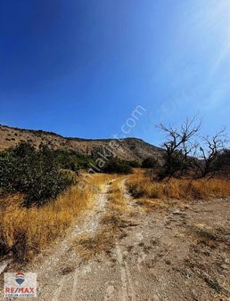 Karain'de Satılık Bağ