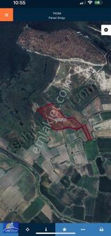 Muğla Milas Bafa Gölyaka'da Satılık 10.600 Metre² Hisseli Tarla