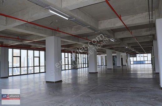 1.700m2 A Sınıfı Kiralık Plaza Katları - Alf Alliance Ticari