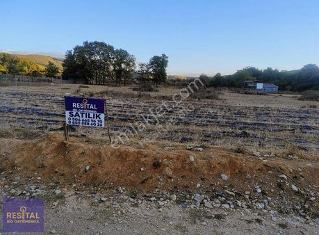 Gemlik Haydarye Köyünde 487m2 Satılık İmarlı Arsa Resital Big'de