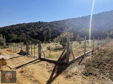 Doğayla İç İçe Muhteşem Hobi Bahçesi