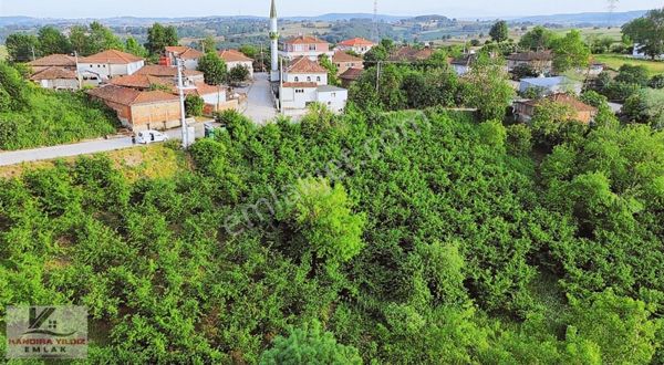 Kocaeli Kandıra İncecik Köyiçi Asfalta Cephe 545 M2 0.40 İmarlı