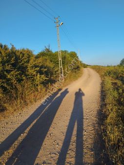 Kocaeli Derince Karagöllü De 1955 M2 %5 İmarli Yolalacepeli Dir