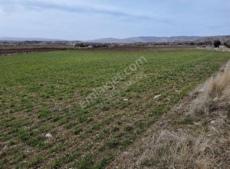 Kısmet Emlak'tan Yassıörende Tek-tapu 3.109m2 İmara Yakın Tarla