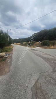 Odak' Tan Demirciören' De Harika Konumda Satılık Tarla