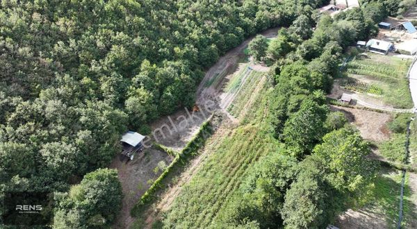 Rens Gayrimenkulden Doğa Harikası Yatırımlık Hobi Bahçesi