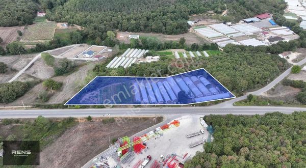 Rens Gayrimenkulden Şile Yolunda Satılık 673 M²