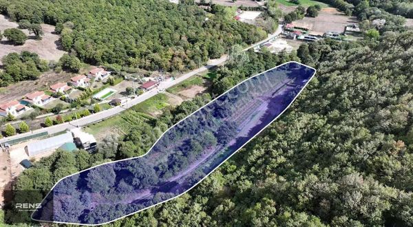 Rens Gayrimenkulden Orman Manzaralı Baraja Yakın Satılık Hisse