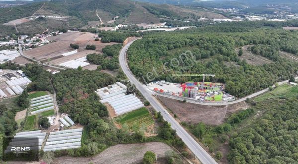 Rens Gayrimenkulden Şile Yolunda Asfalta Cephe Satılık 2.019 M²