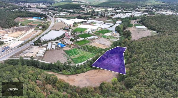 Rens Gayrimenkulden Kadıllı'da Yatırıma Uygun Tarla