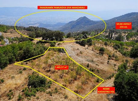 Pamukova Kadıköy Mahallesi'nde Yatırımlık Ceviz Bahçesi