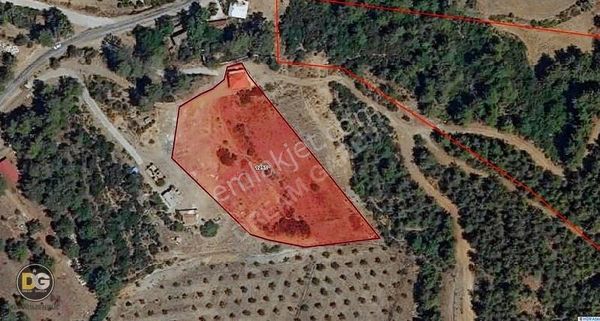 Muğla Köyceğiz Kavakarası Köy Yerleşik İçinde Satılık Tarla