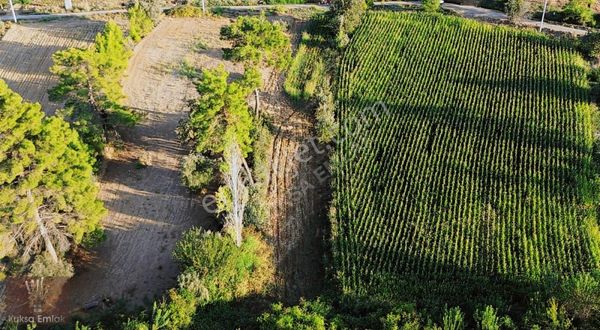 Seydikemer Kabaağaç Mahallesi 1277 M2 Tarla