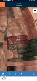 Eskişehir Türkmentokat Verimli Sulak Tarım Arazisi Satılık Tarla