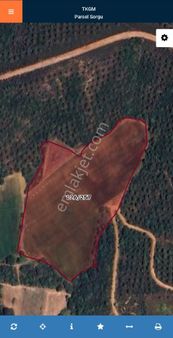 Çanakkale Lapseki Dişbudak Satılık Tarla