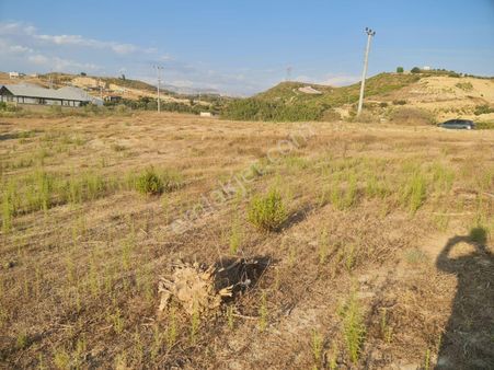 Karaöz Mahallesi'nde Satılık 505 Metrekare Satılık Tarla