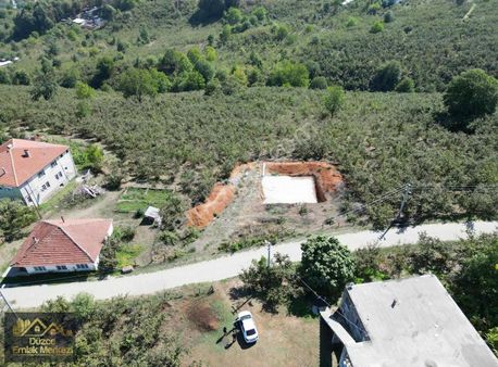 Kaynaşlı Üçköprü'de Resmi Yola Cephe Satılık 9.788 M2 Fındıklık