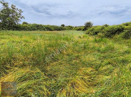 3702 M2 Müstakil Resmi Yola Cephe Etrafı Doğal Olarak Çevrili