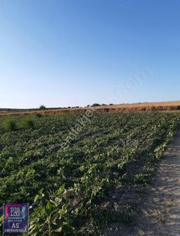 Karacabey Sultaniyede Satılık 3812m2 Tarla